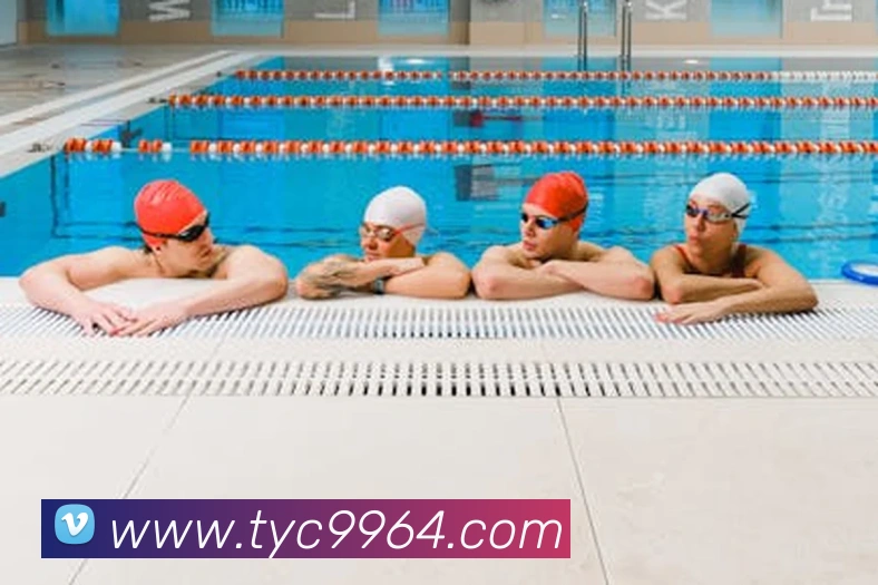 太阳城官网APP 封面图